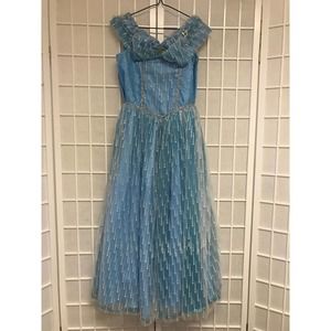Custom Cinderella Dress Costume